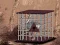 Rescue The Emu From Cage – kostenloses Online-Spiel