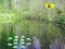 Sunlight Forest Adventure – kostenloses Online-Spiel