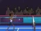 Badminton Brawl – kostenloses Online-Spiel