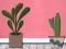Find Houseplant – kostenloses Online-Spiel