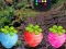 Escape From Fascinated Jungle – kostenloses Online-Spiel