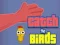 Catch the Birds – kostenloses Online-Spiel