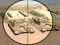 Camo Sniper – kostenloses Online-Spiel
