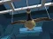 Goose Museum – kostenloses Online-Spiel