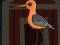 Cute Godwit Escape – kostenloses Online-Spiel
