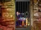 Hidden Cat Escape – kostenloses Online-Spiel