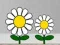 Find Succulent Plant – kostenloses Online-Spiel