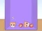 Evolution of Cat Memes – kostenloses Online-Spiel