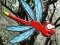 Escape From Dragonfly Forest – kostenloses Online-Spiel