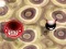 Bouncing Blob – kostenloses Online-Spiel