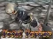 Total Terror – kostenloses Online-Spiel