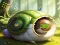 Rescue The Fantasy Snail – kostenloses Online-Spiel