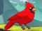 Rescue The Northern Cardinal – kostenloses Online-Spiel
