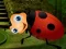 Rescue The Couple Bug – kostenloses Online-Spiel