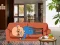 Wakeup The Grandpa – kostenloses Online-Spiel