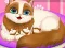Cute Kitty Pregnant – kostenloses Online-Spiel
