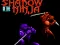 Shadow of the Ninja – kostenloses Online-Spiel