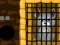Grey Dog Rescue – kostenloses Online-Spiel
