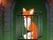 Fox in the Forgotten Ruins – kostenloses Online-Spiel