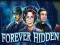 Forever Hidden – kostenloses Online-Spiel