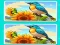 Spot the Difference The Garden – kostenloses Online-Spiel