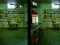 Robot Bar Spot the differences – kostenloses Online-Spiel