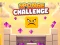 Sponge Challenge – kostenloses Online-Spiel