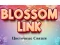 Blossom Link – kostenloses Online-Spiel