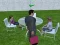 Millionaire Simulator 2024 – kostenloses Online-Spiel