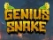 Genius Snake – kostenloses Online-Spiel