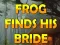 Frog Finds His Bride – kostenloses Online-Spiel