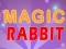 Magic Rabbit – kostenloses Online-Spiel