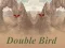 Double Bird – kostenloses Online-Spiel