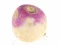 Turnip – kostenloses Online-Spiel