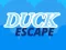 Duck Escape – kostenloses Online-Spiel