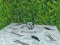 The Best Gift There Is – kostenloses Online-Spiel