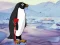 Heal the Wounded Penguin – kostenloses Online-Spiel