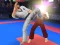 Karate Fighter – kostenloses Online-Spiel