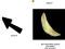 Spinning Chip Clicker – kostenloses Online-Spiel