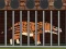  Andrewsarchus Release from Cage – kostenloses Online-Spiel