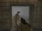 Silent Asylum 2 – kostenloses Online-Spiel