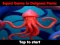 Squid Game In Dalgona Panic – kostenloses Online-Spiel
