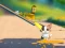 Cat Challenge – kostenloses Online-Spiel