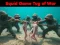 Squid Game Tug Of War – kostenloses Online-Spiel