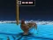 Animal Impossible Track Rush – kostenloses Online-Spiel