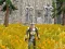 Axe Of The Ancients Dwarven Fury – kostenloses Online-Spiel