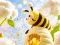 Find The Differences: Little Bee's Adventure – kostenloses Online-Spiel