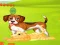 Bunny Key Quest – kostenloses Online-Spiel