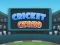 Cricket Craze – kostenloses Online-Spiel