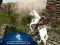 Ertugrul Gazi Horse Sim – kostenloses Online-Spiel